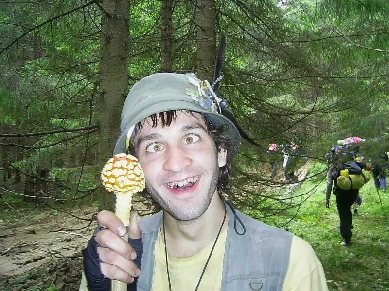 Прикольный грибник