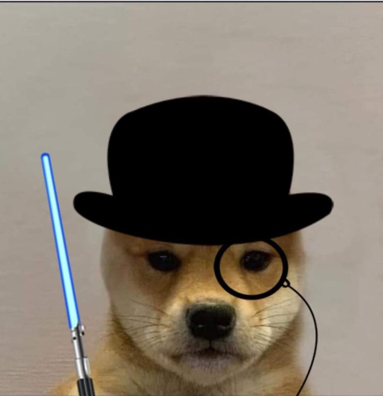 Собачка в шляпе Мем