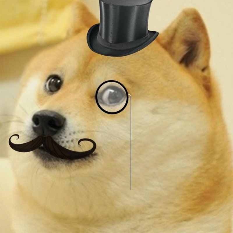 Собачка Doge