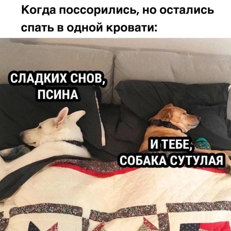 Прогиб девушки
