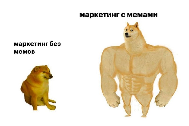 Кот качок Мем