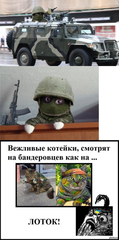 Вежливый кот