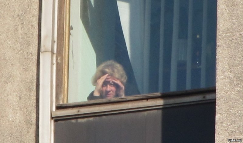 Заглядывает в окно