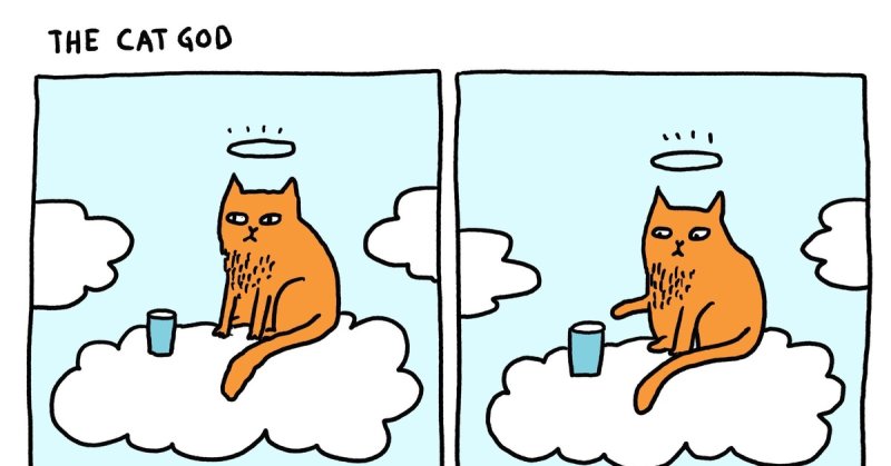 Котик вспоминает