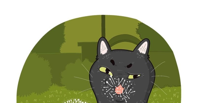 Кот с одуванчиком Мем