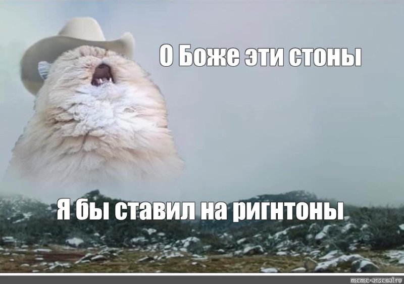 Орущий кот