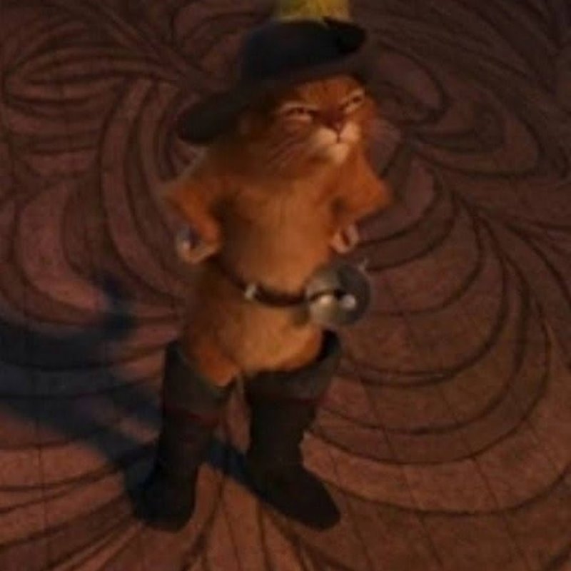 Кот в сапогах Мем