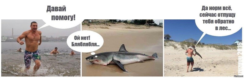 Девушка и рыба