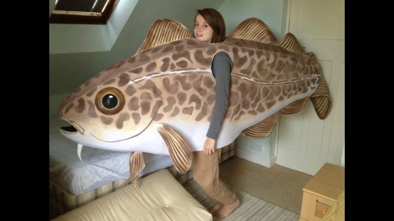 Прикольные рыбки