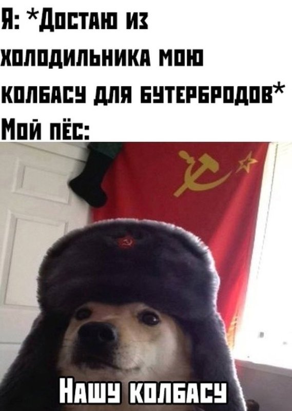 Собака с советским флагом Мем