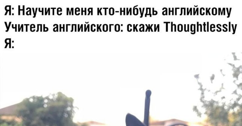 Thoughtlessly Мем