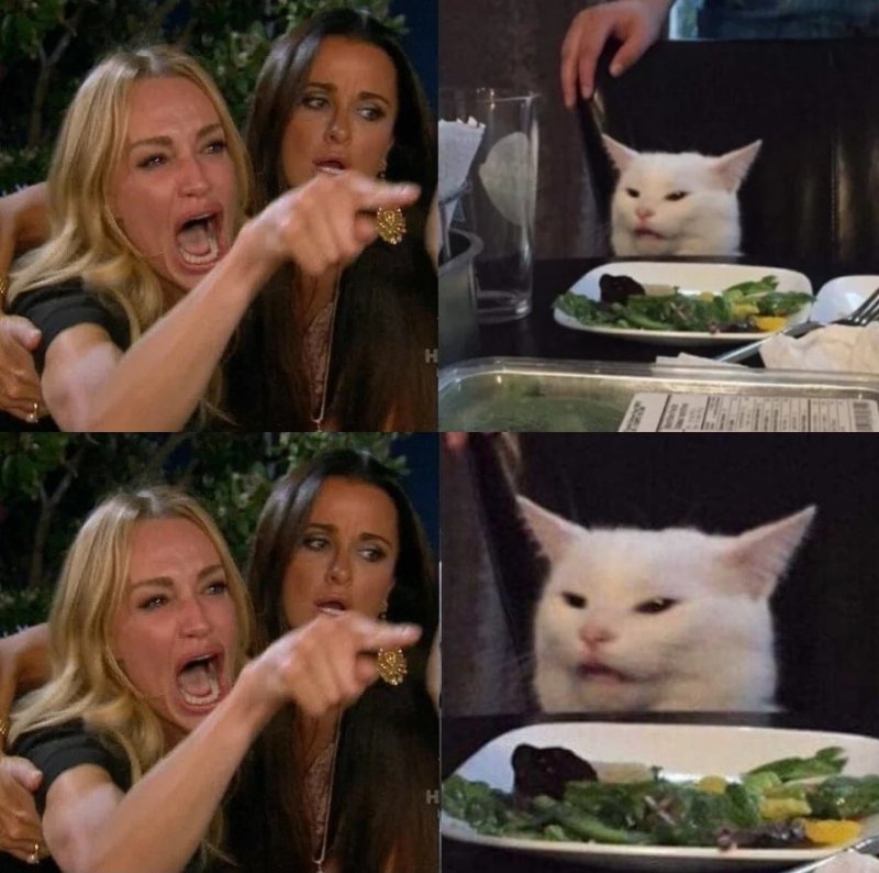 Мем с котом за столом