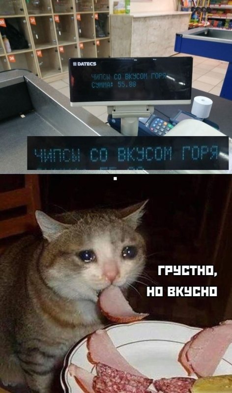 Грустно но вкусно кот