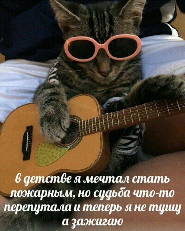 Котик с гитарой
