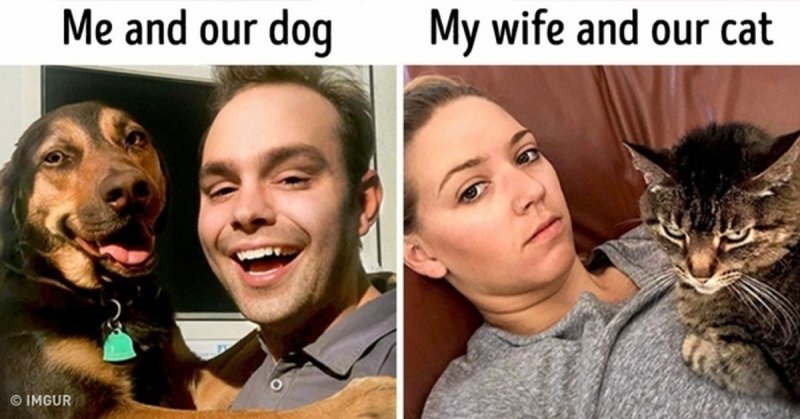 Мем разница между котом и собакой