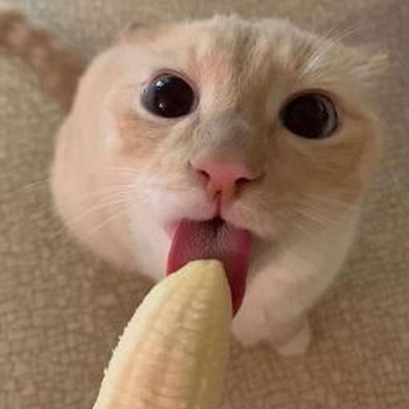 Лижет банан