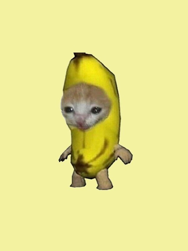 Кот банан Мем