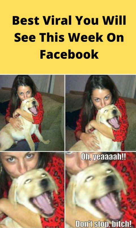 Девушка со смешной собакой