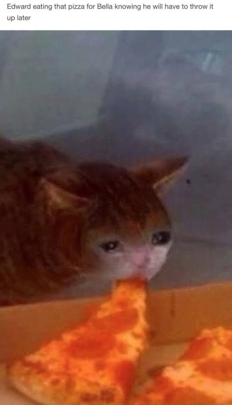 Я поем и уйду