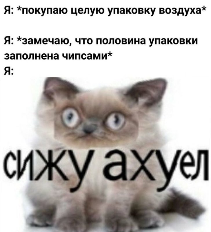 Мем я вахуе кот