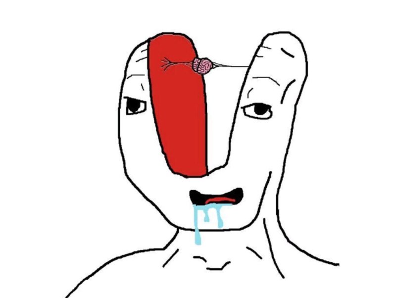 Мем без мозгов