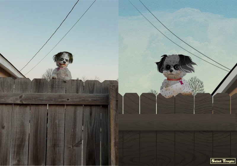 Зловещее фото соседского пса