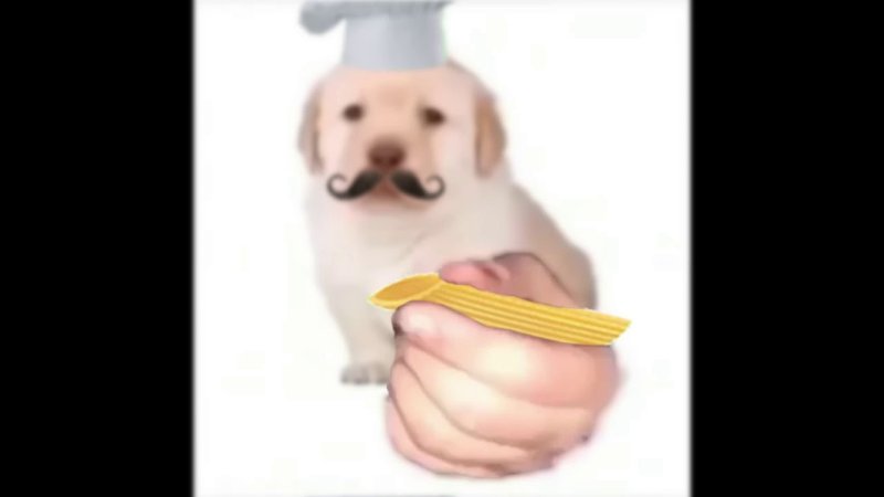 Щенок с косяком