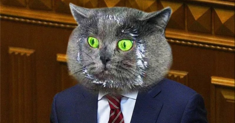 Кошачий депутат