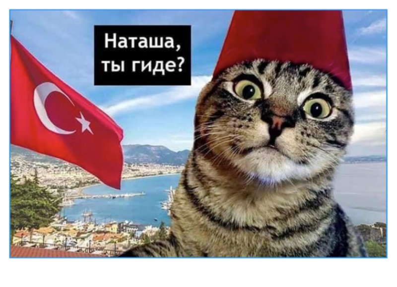 Турция прикол