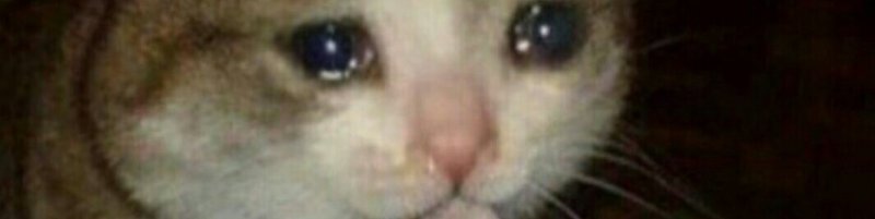 Грустно но вкусно Мем с котом