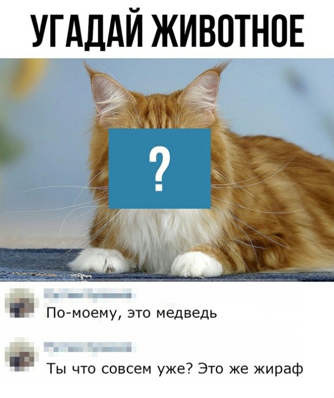 Если угадаешь животное на картинке