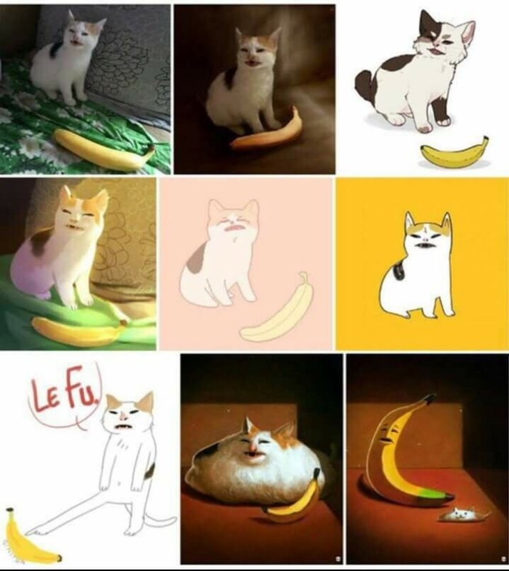 Кот банан Мем