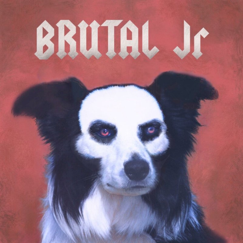 Бордер колли страшная страшная