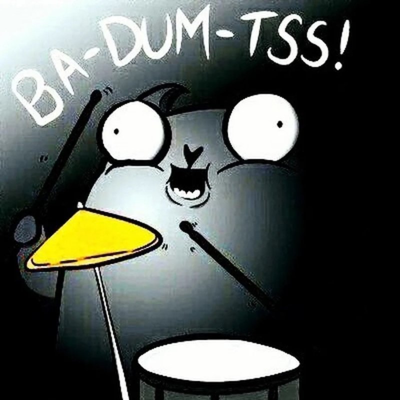 Бадум ТСС кот