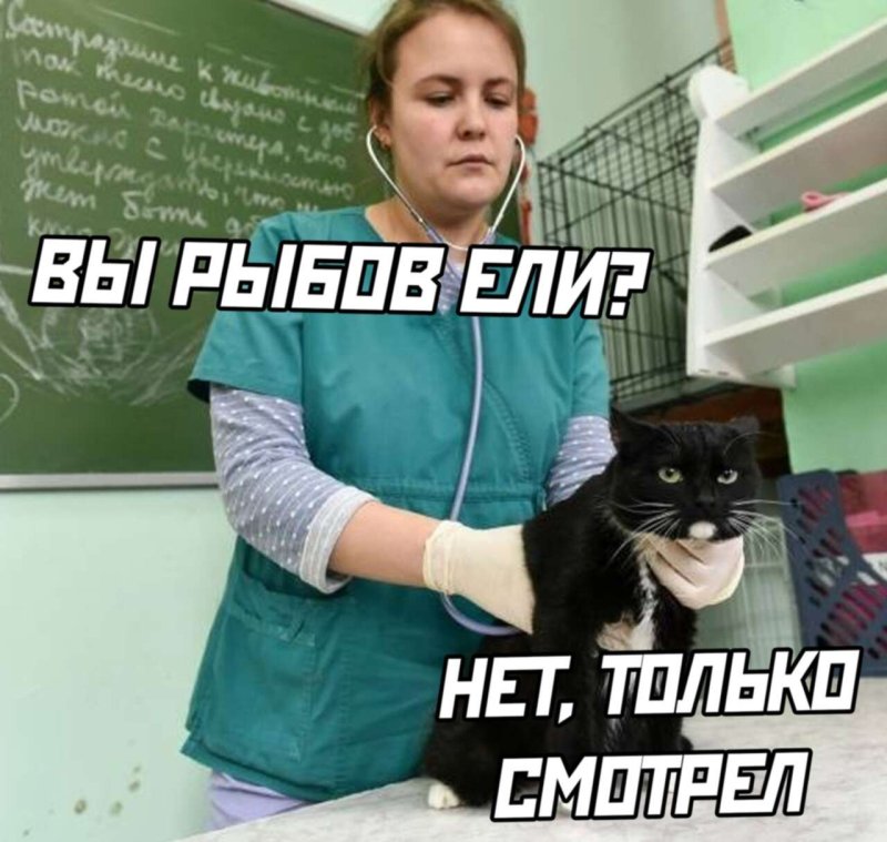 Вы Рыбов ели