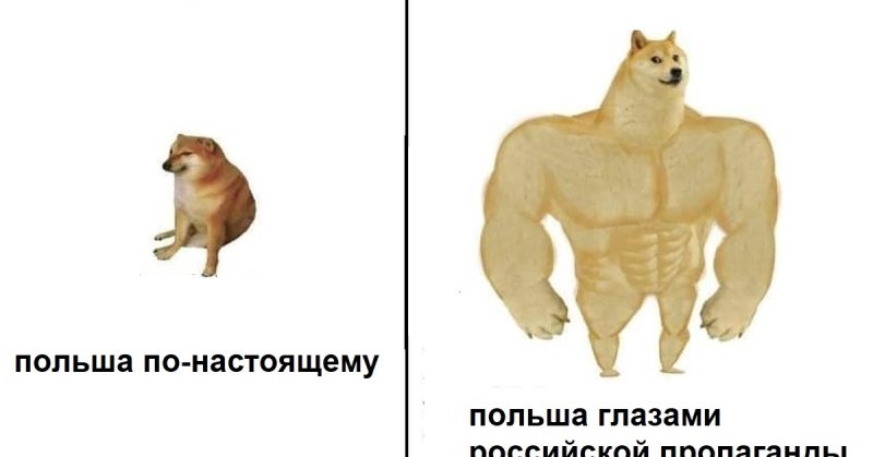 Мем поляки пикабу