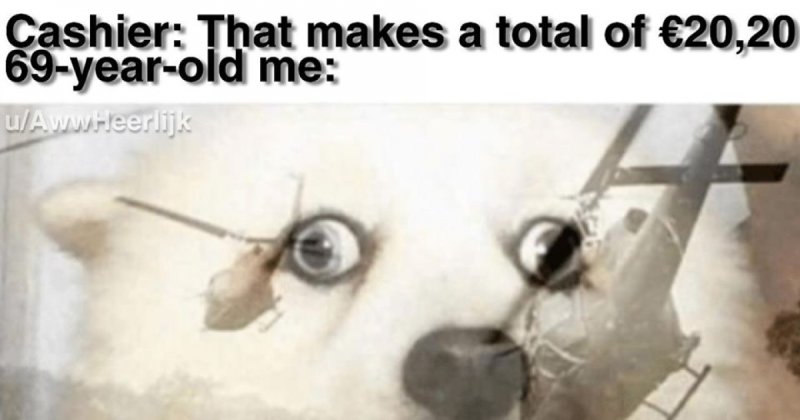 Вьетнамские флэшбэки у собаки