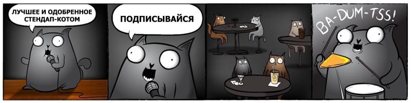 Кот стендапер шутки