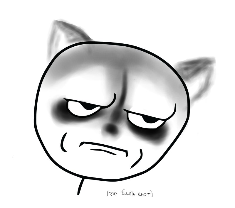 Недовольный взгляд Мем