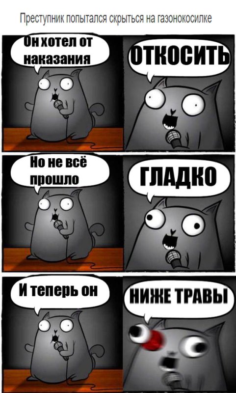 Каламбуры с котиками