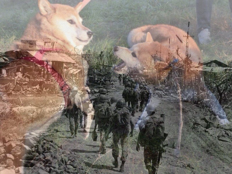 Вьетнамские флэшбэки у собаки