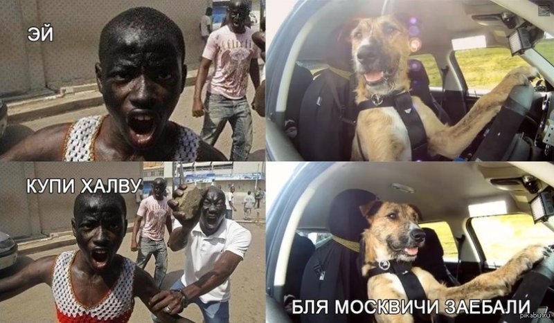 Негры продаются