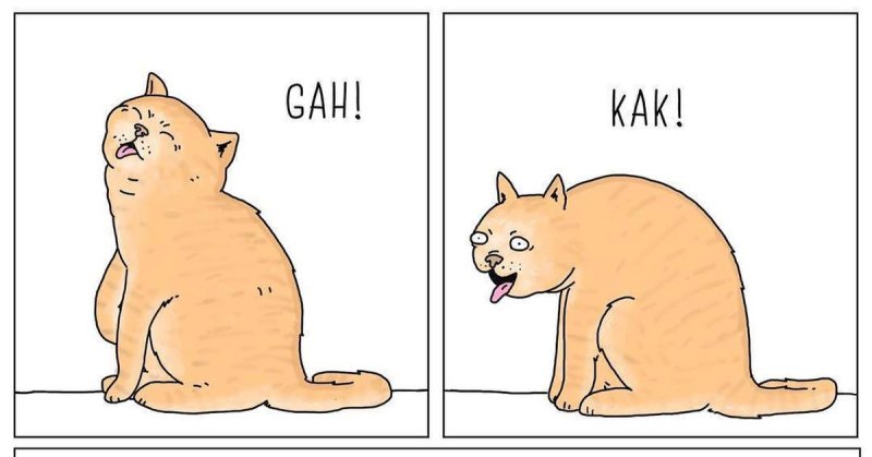 Кота тошнит