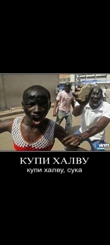 Мемы про халву