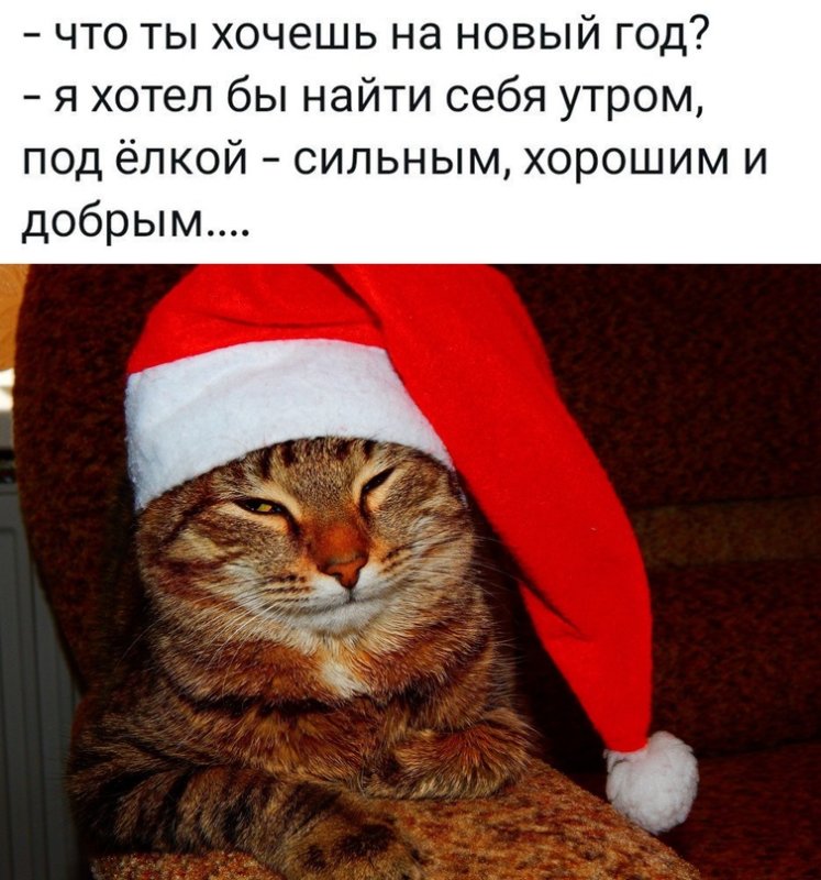 Новогодние авы