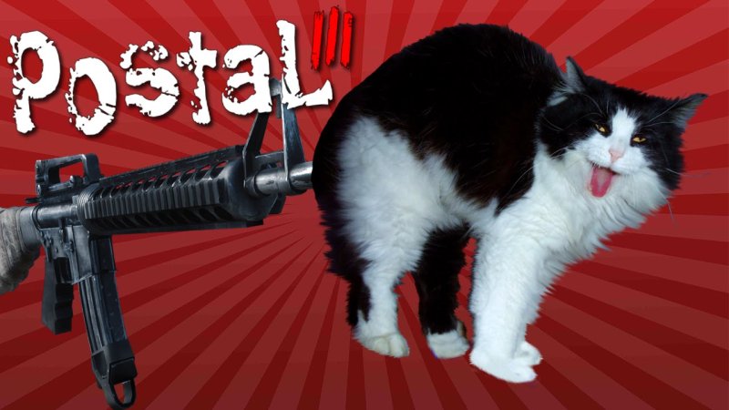 Кот с пистолетом