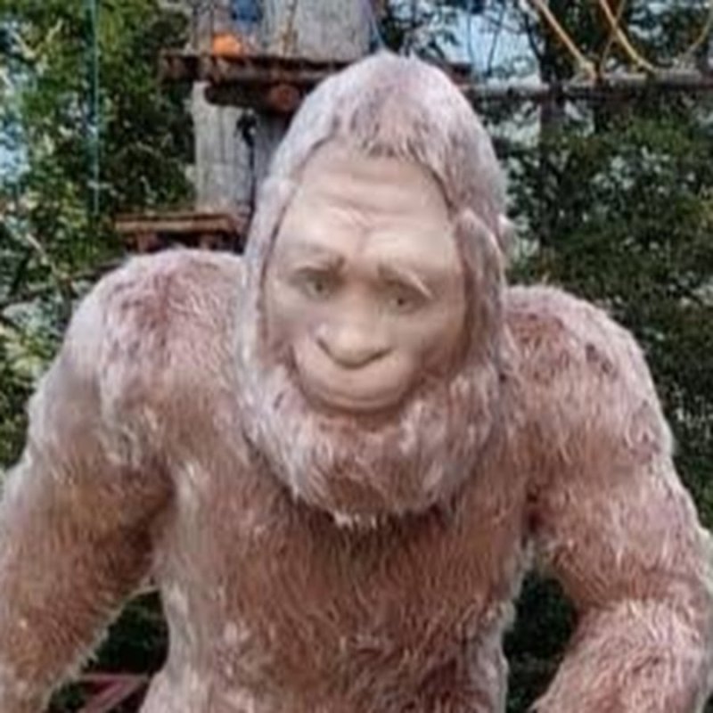 Ролики про кошек