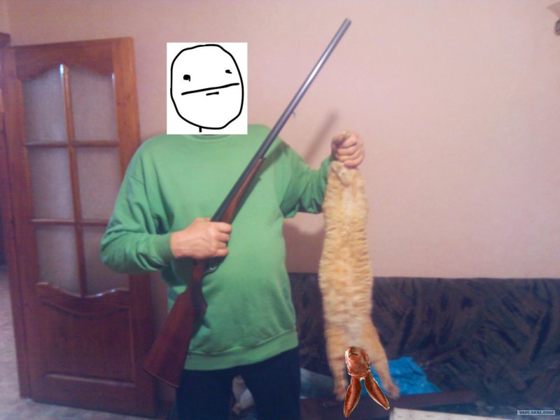 Кот с топором смешной