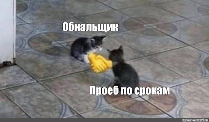 Котики жмут руки