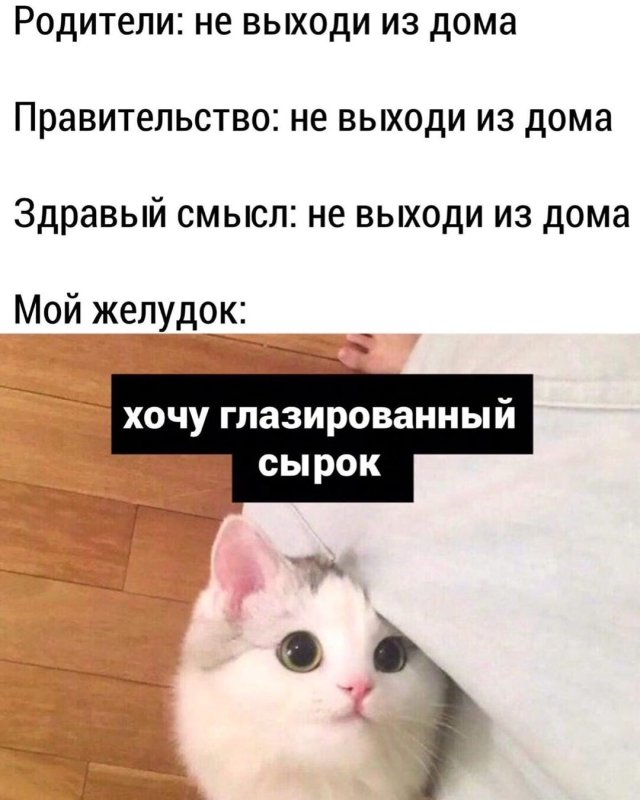 Глазированный сырок Мем